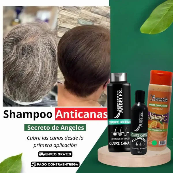 Shampoo Cubre Canas Secreto de Ángeles™ + 2 Obsequios