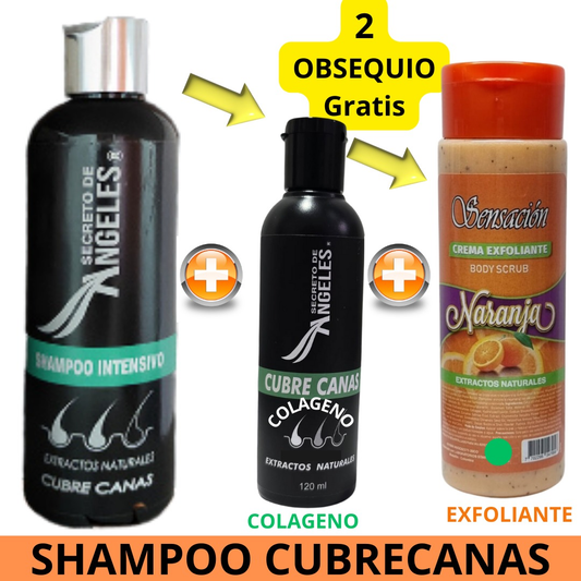 Shampoo Cubre Canas Secreto de Ángeles™ + 2 Obsequios